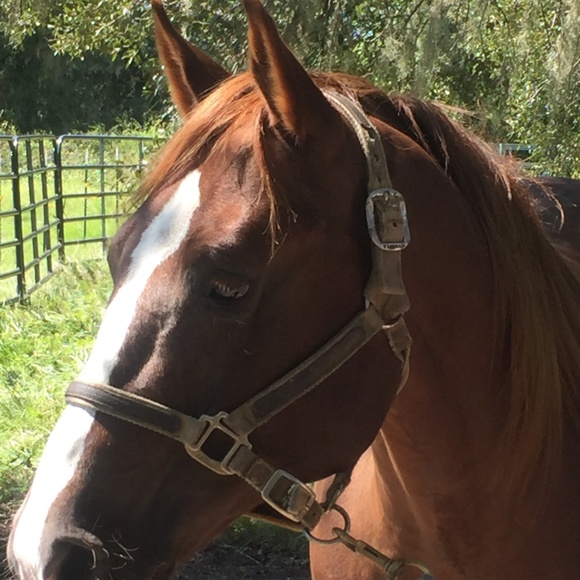 Christa - Picture 5 of 8